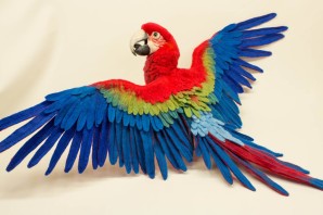 Попугай из пластилина
