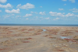 Соленое озеро в омской области