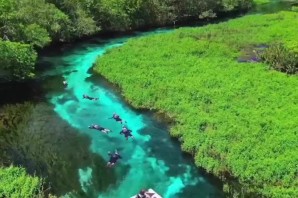 Крупные реки бразилии