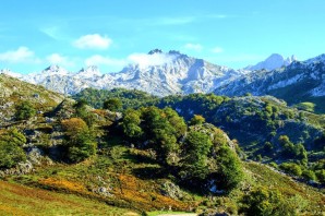 Растительность пиренейского полуострова