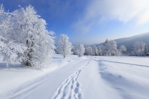 Природа снег