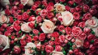 Розовый букет цветов