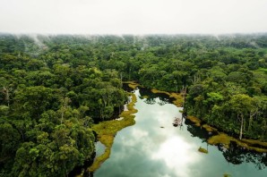Природа амазонии