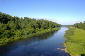 Притоки реки луга