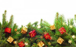 Новогодняя елочная ветка