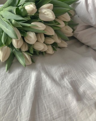 Белые тюльпаны эстетика