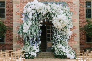 Куст цветов невесты