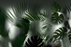 Растения за матовым стеклом