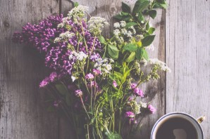 Дикорастущие растения цветы