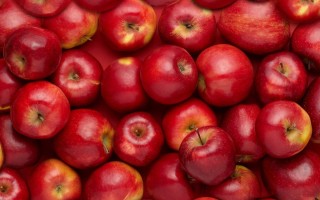 Красные яблоки сорт