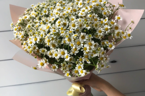 Мелкие ромашки букет