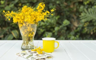 Желтый весенний цветок