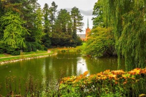 Растительный мир дании