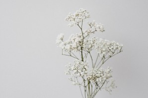 Белые цветочки