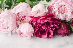 Обои на телефон цветы пионы