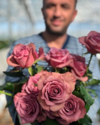 Роза монмарт