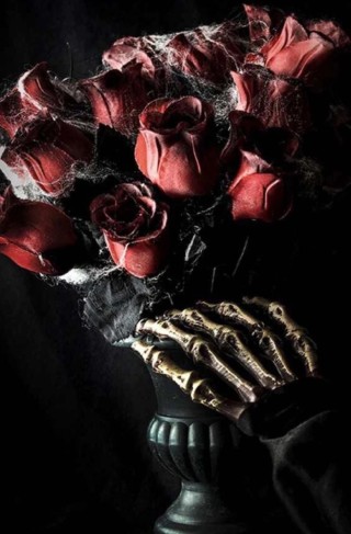 Роза санмастер дарк