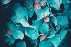 Бирюзовый цветок