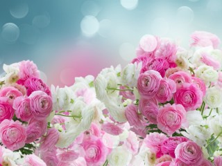 Цветы с днем рождения женщине