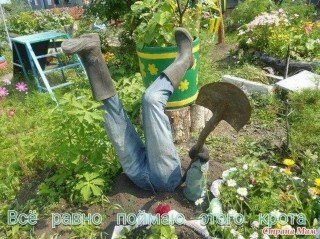 Дачные поделки своими руками для украшения сада
