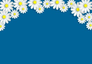 Фон ромашки для презентации