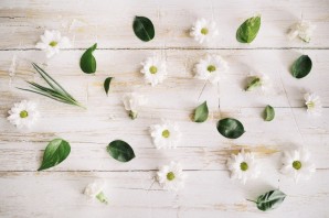 Красивый салатовый фон