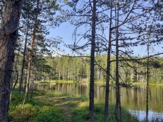 Чертово озеро зеленогорск