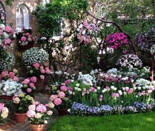 Цветы в саду и на даче