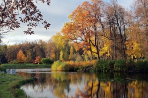 Павловский парк осенью