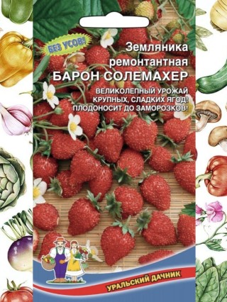 Земляника ремонтантная барон солемахер