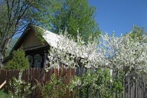 Дом в деревне весной