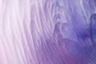 Лиловые обои