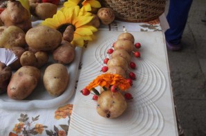 Поделка из картофеля в школу
