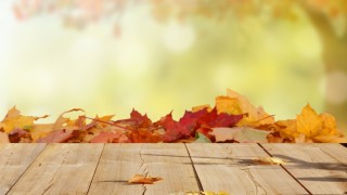 Красивый осенний фон