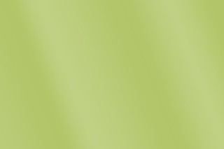 Фисташковый цвет фон