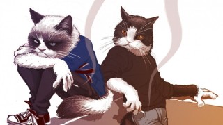 Кошка человек арт