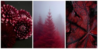 Черно бордовый фон