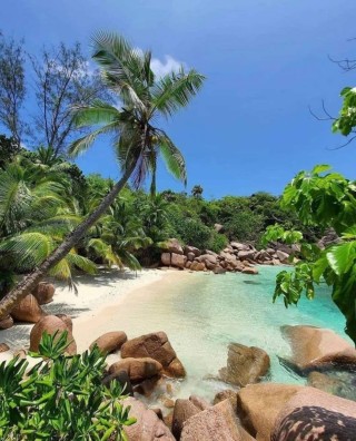 Остров праслин сейшельские острова