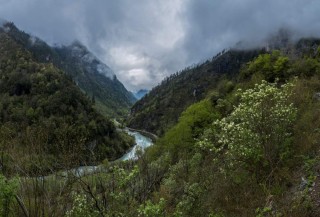 Горные реки абхазии