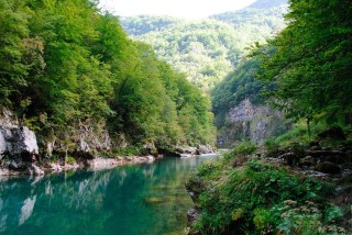 Каньон реки тары черногория