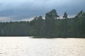 Щучье озеро комарово