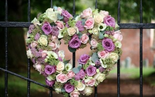 Роза импульс