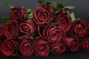 Роза чокочино