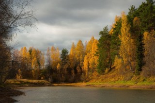 Русский осенний лес