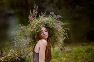 Травы для волос
