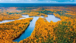 Осень в западной сибири