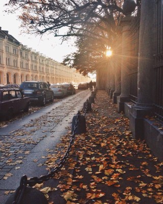 Осень в питере