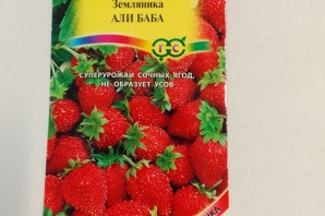 Земляника али баба