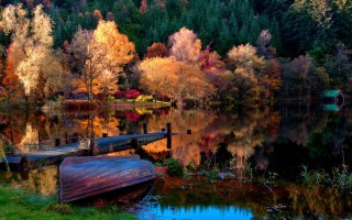 Осенняя красота