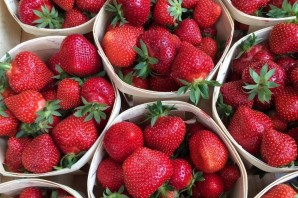 Свежая клубника